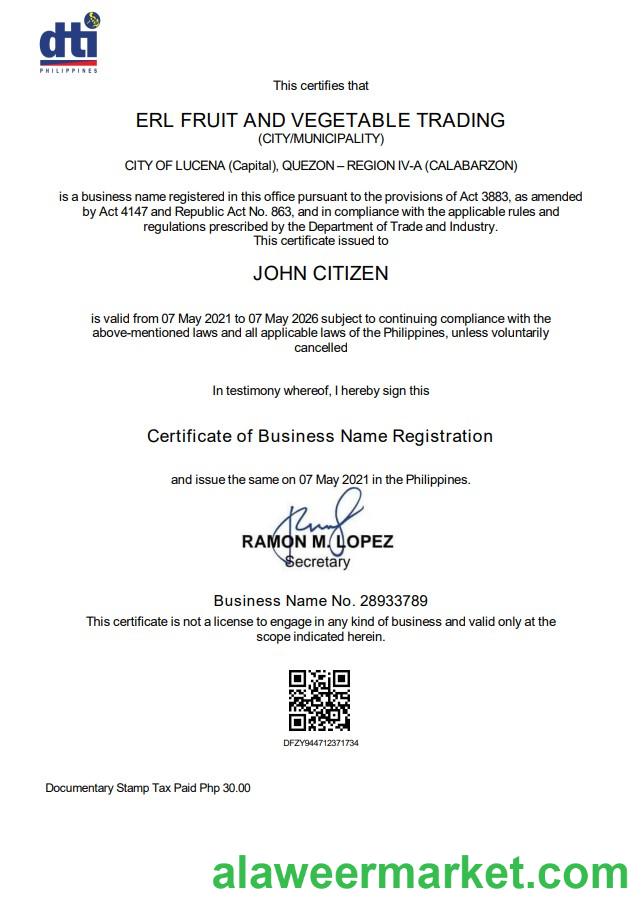 Philippines Department of Trade and Industry (DTI) private interprenour